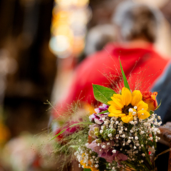 Fiacriusmesse 2025 / Erzdiözese Wien/Schönlaub, Stephan Schönlaub