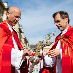2025 Palmsonntag / Erzdiözese Wien/ Schönlaub, Stephan Schönlaub