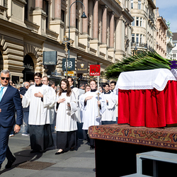 2025 Palmsonntag / Erzdiözese Wien/ Schönlaub, Stephan Schönlaub