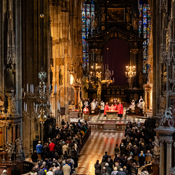 2025 Karfreitag / Erzdiözese Wien/Schönlaub