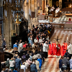 2025 Karfreitag / Erzdiözese Wien/Schönlaub
