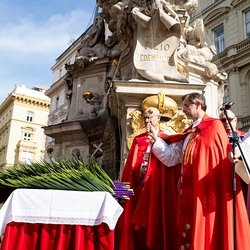 2025 Palmsonntag / Erzdiözese Wien/ Schönlaub, Stephan Schönlaub