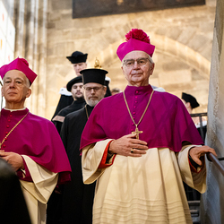 Erzdiözese Wien/ Schönlaub, Stephan Schönlaub