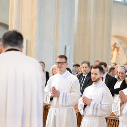 Erzdiözese Wien/Schönlaub, Stephan Schönlaub
