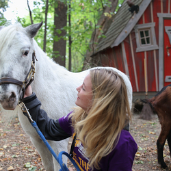 Dies & Das im Therapiehof Regenbogental