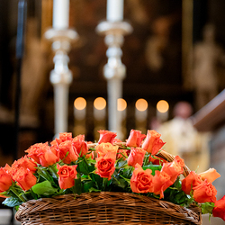 Fiacriusmesse 2025 / Erzdiözese Wien/Schönlaub, Stephan Schönlaub