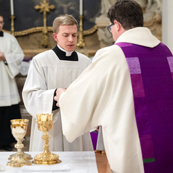 Erzdiözese Wien/ Schönlaub, Stephan Schönlaub