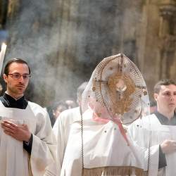 2025 Karfreitag / Erzdiözese Wien/Schönlaub